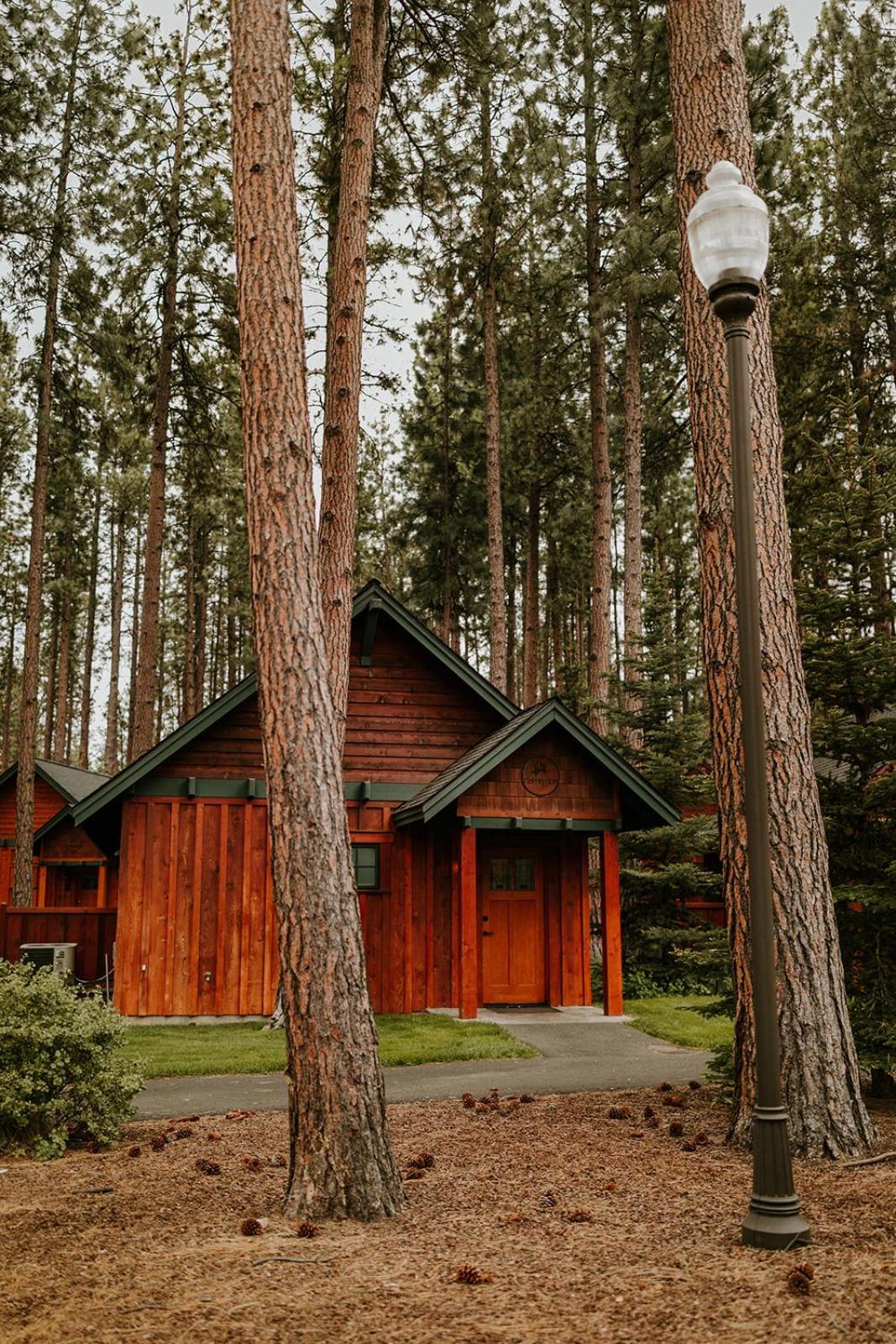 FivePine Lodge