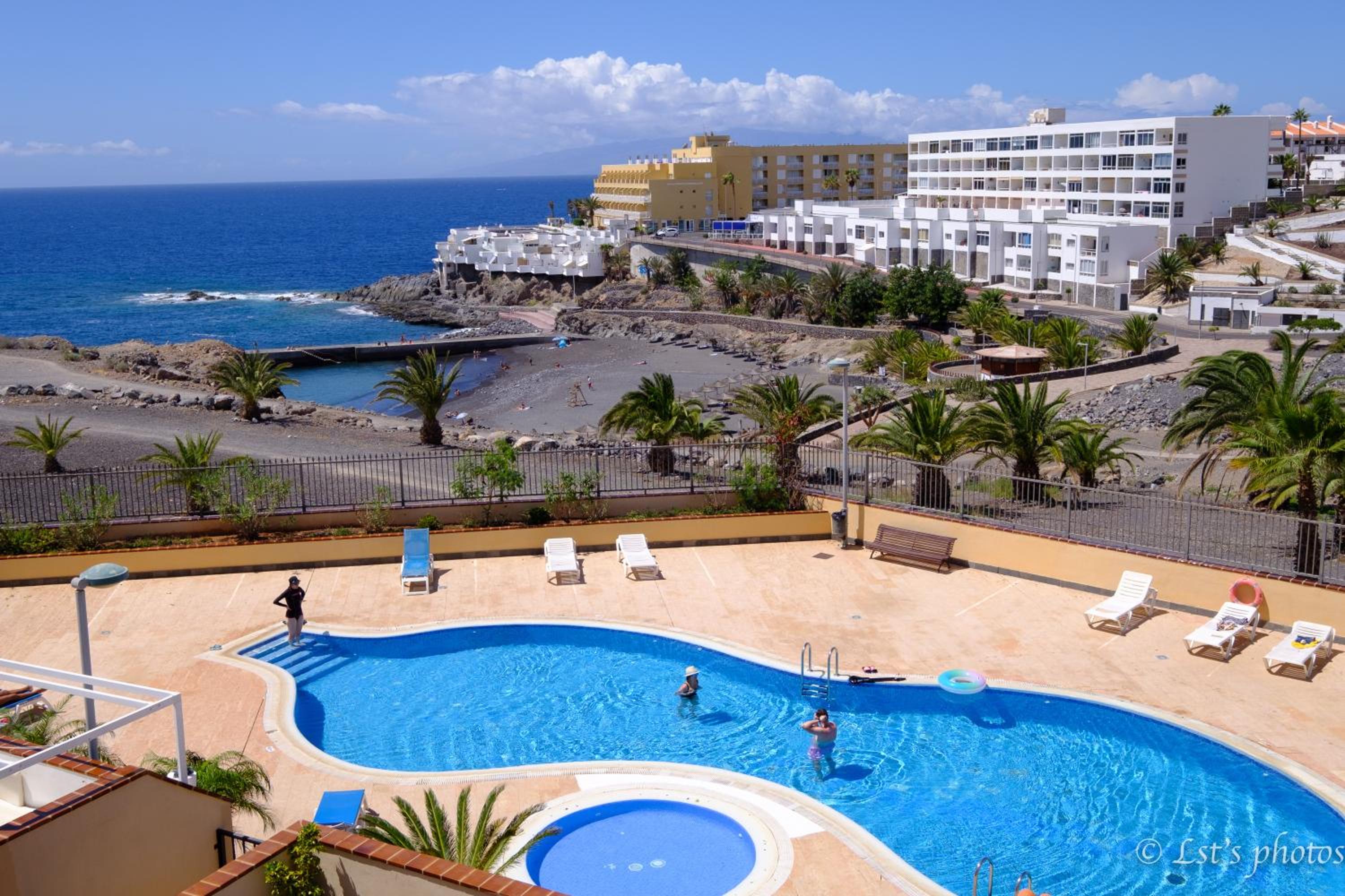 Tenerife lizards - duplex in the first line photo 3