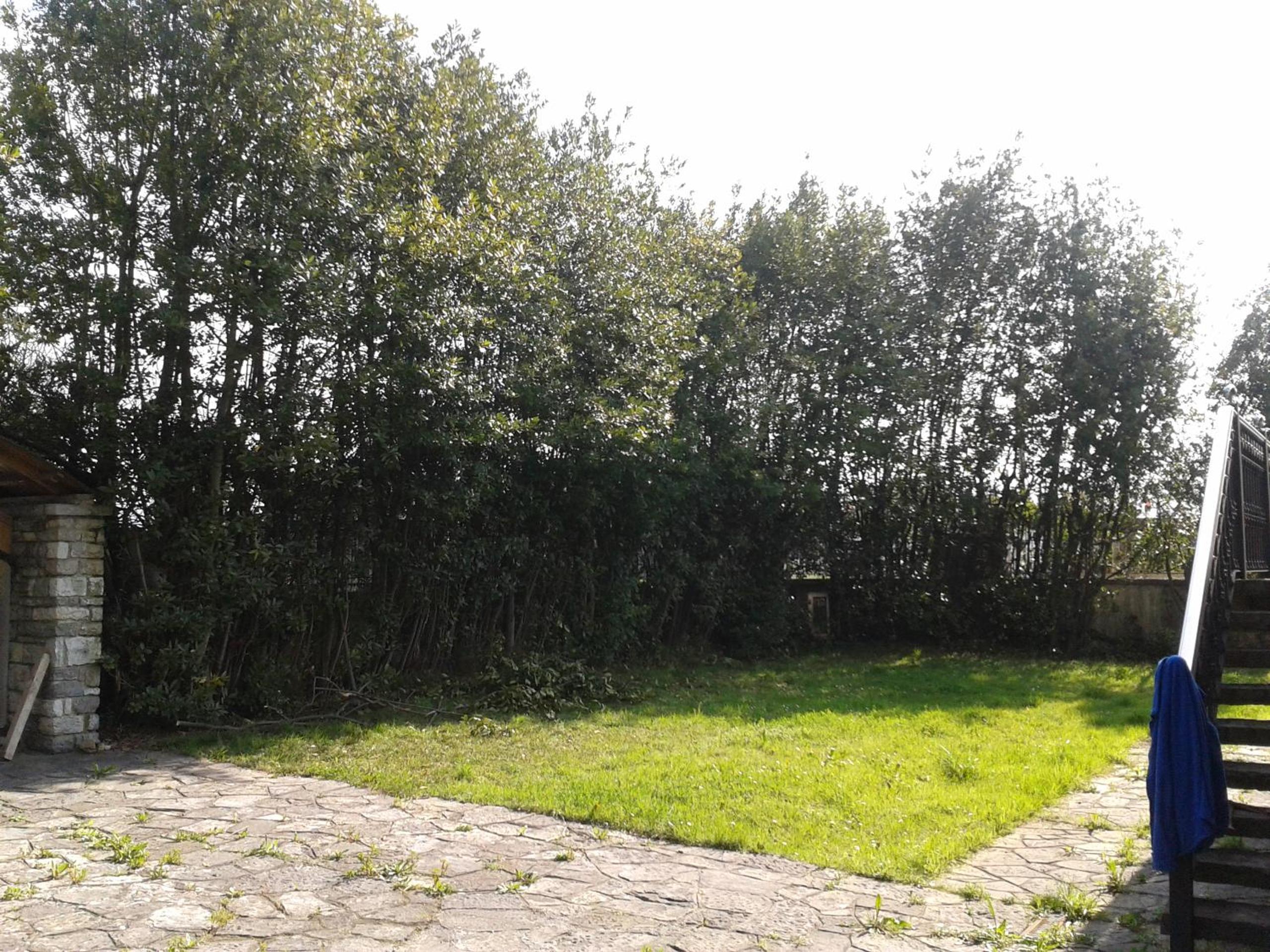 other