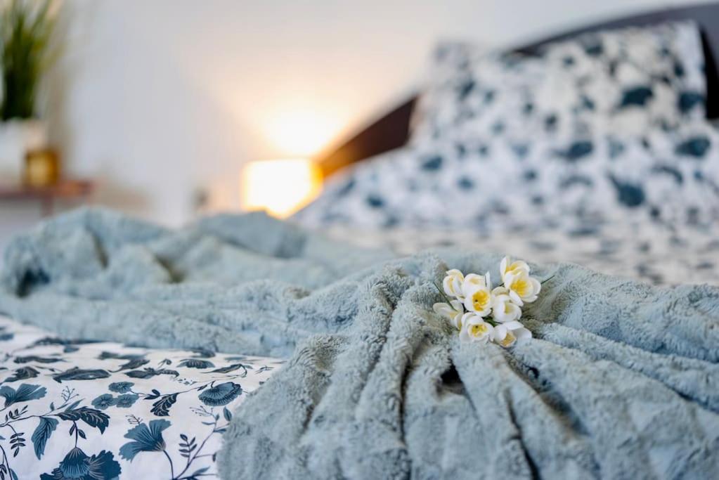 Cozy 1-Bedroom flat in the very Center of Sofia