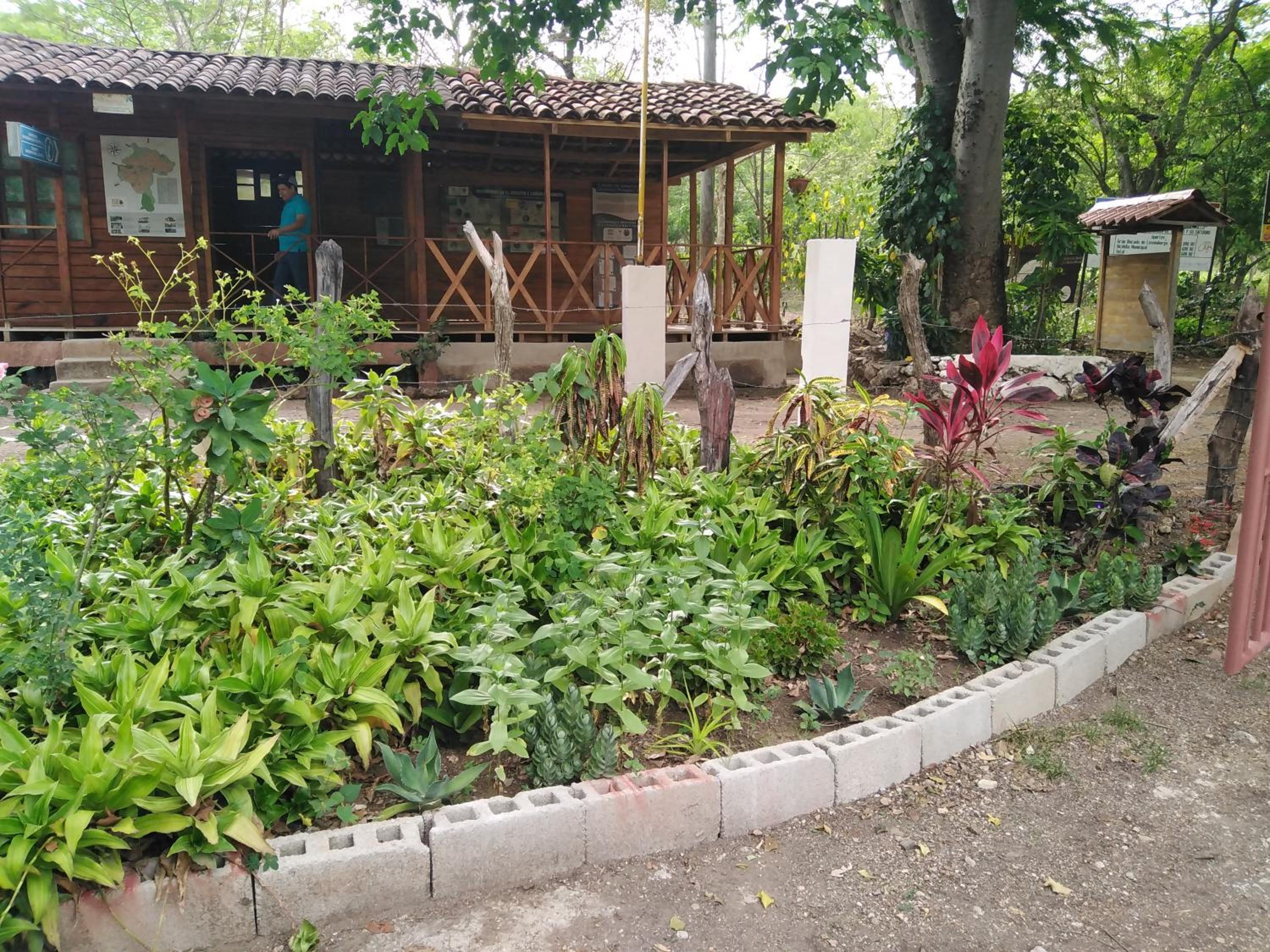 Hostal Izacalli