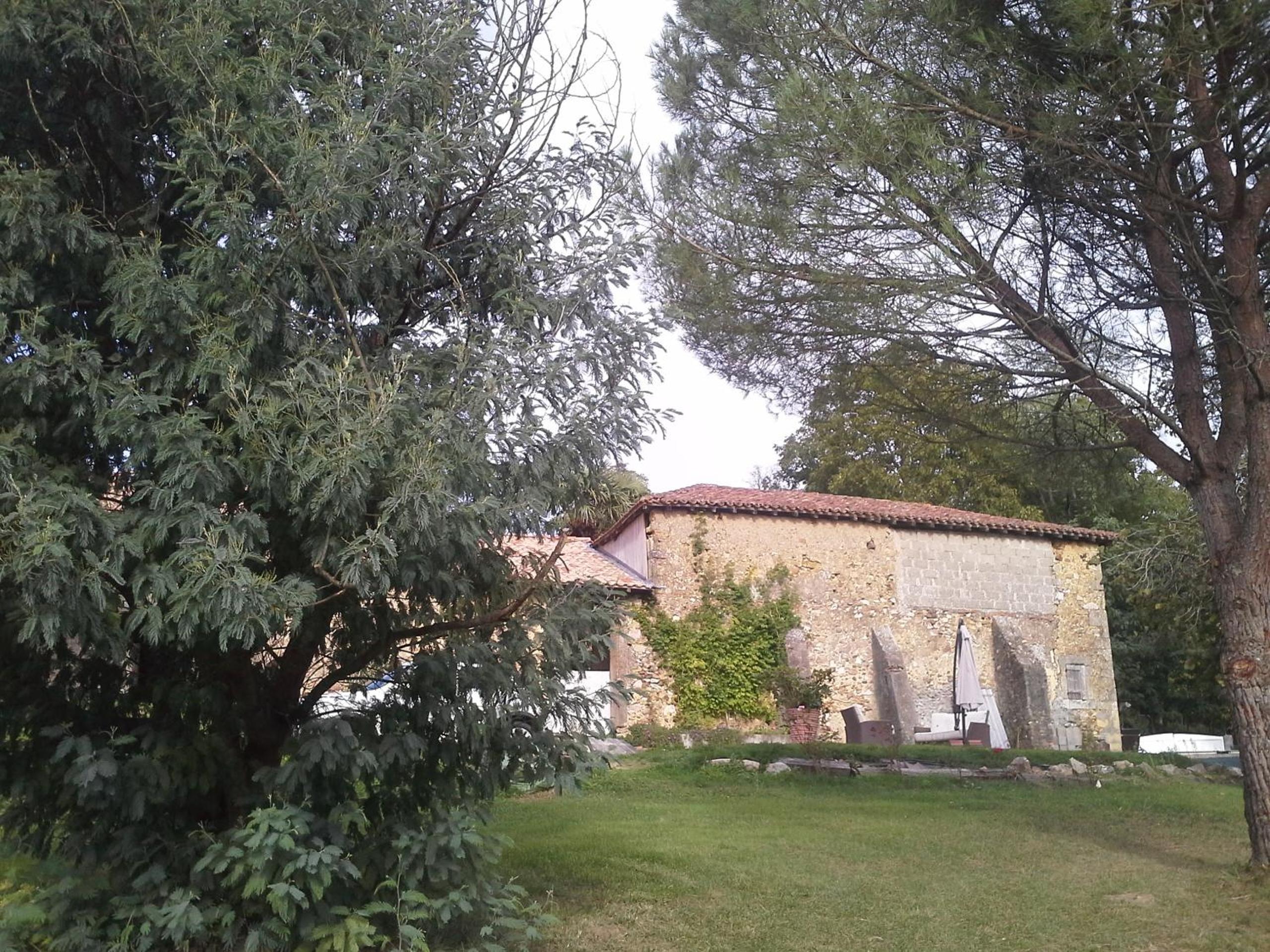 Photo 8