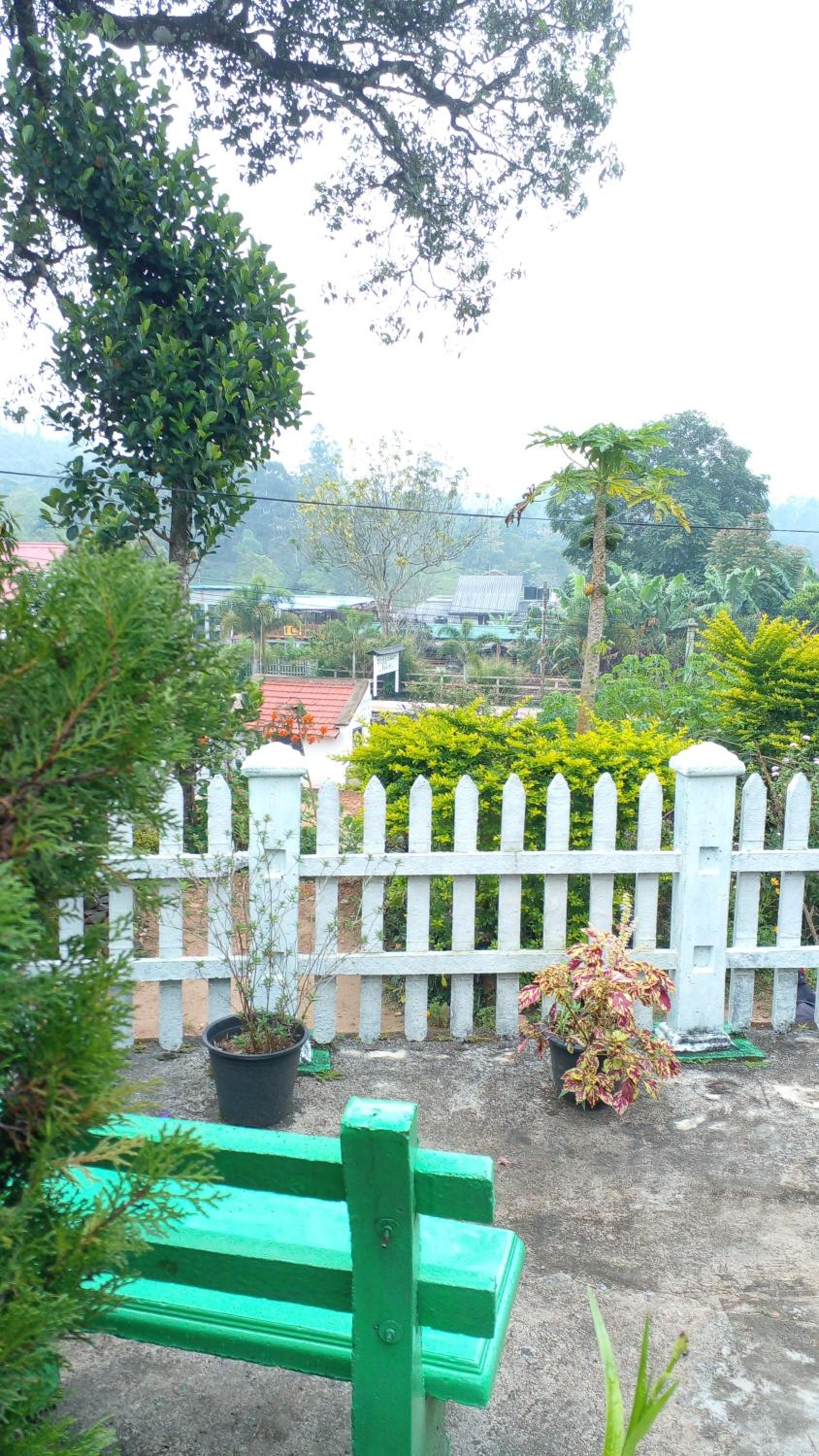 Photo 28