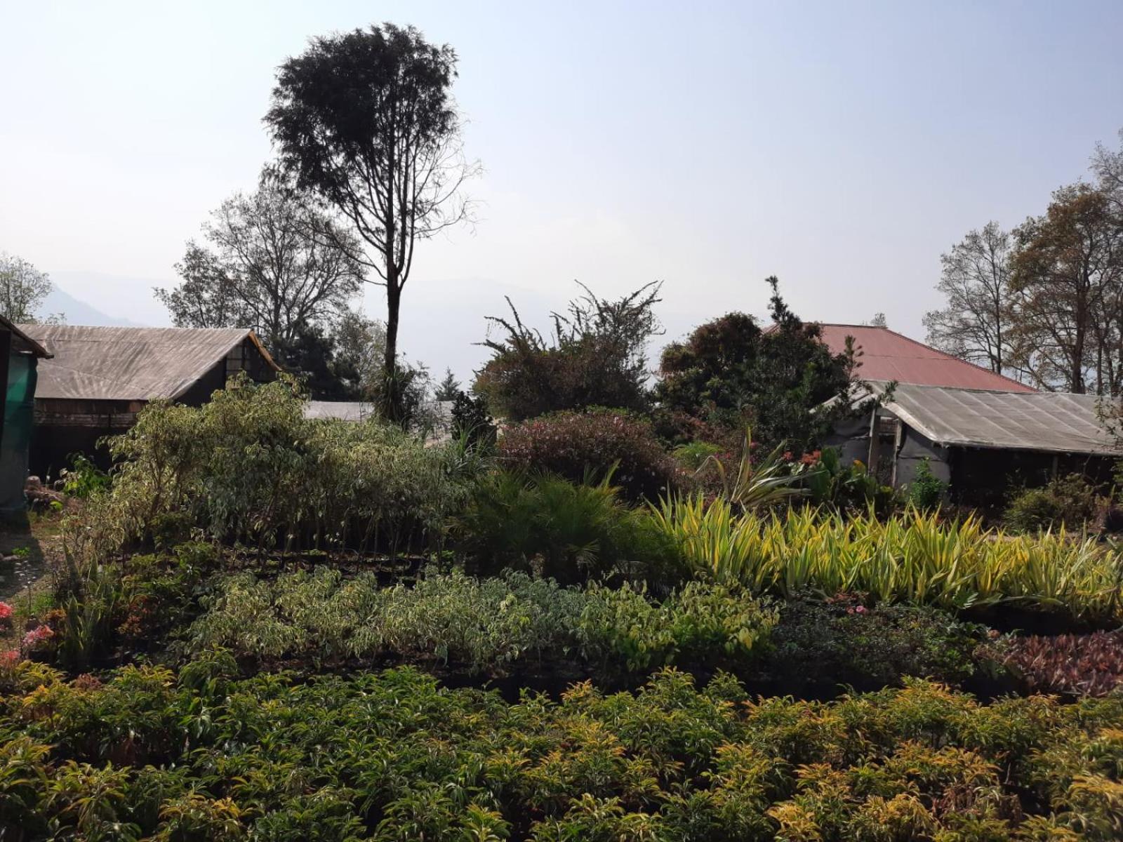 Aaravi Garden Homestay view 4