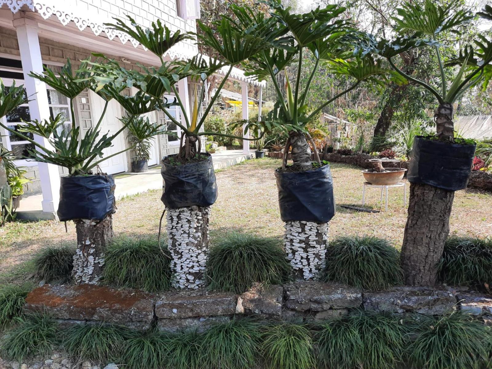 Aaravi Garden Homestay view 5
