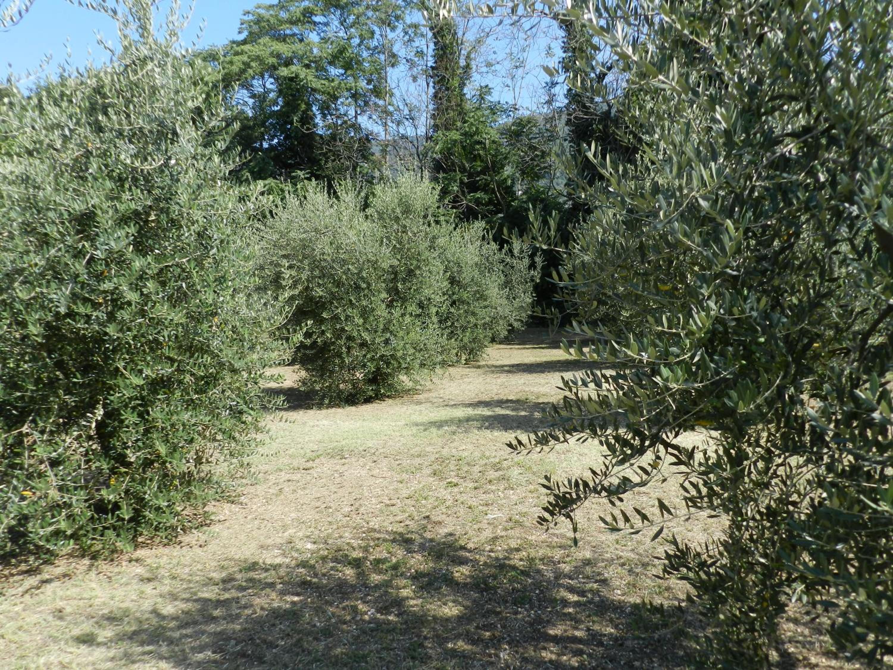 Photo 45