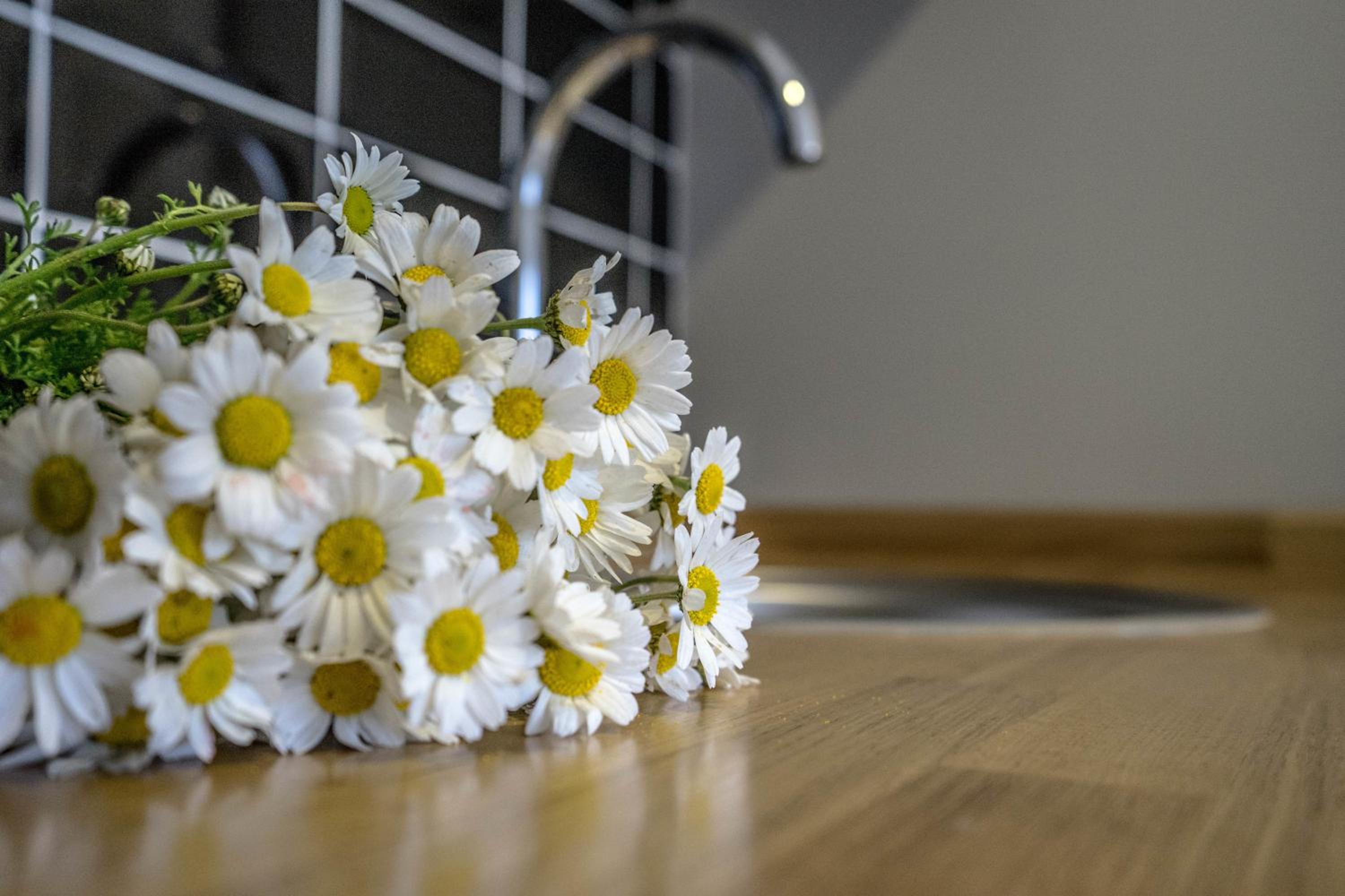 Ada Home İstanbul - Image 17