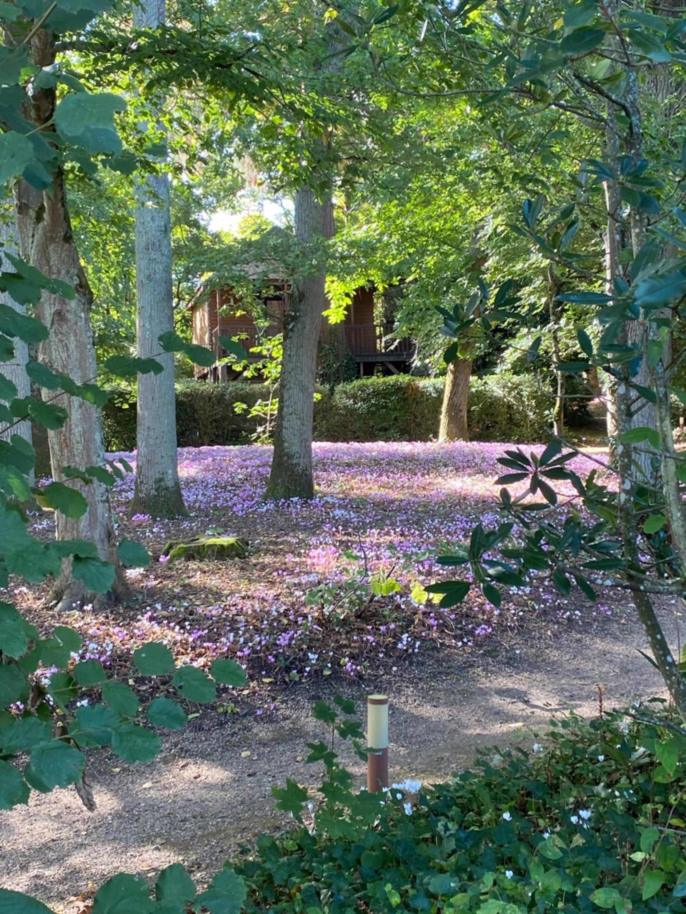 Manoir Du Parc (Adults only)