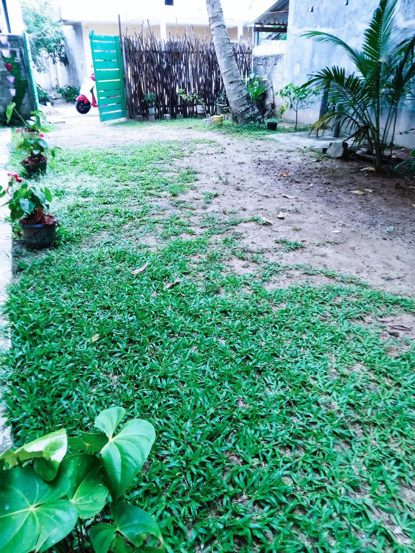 Photo 13