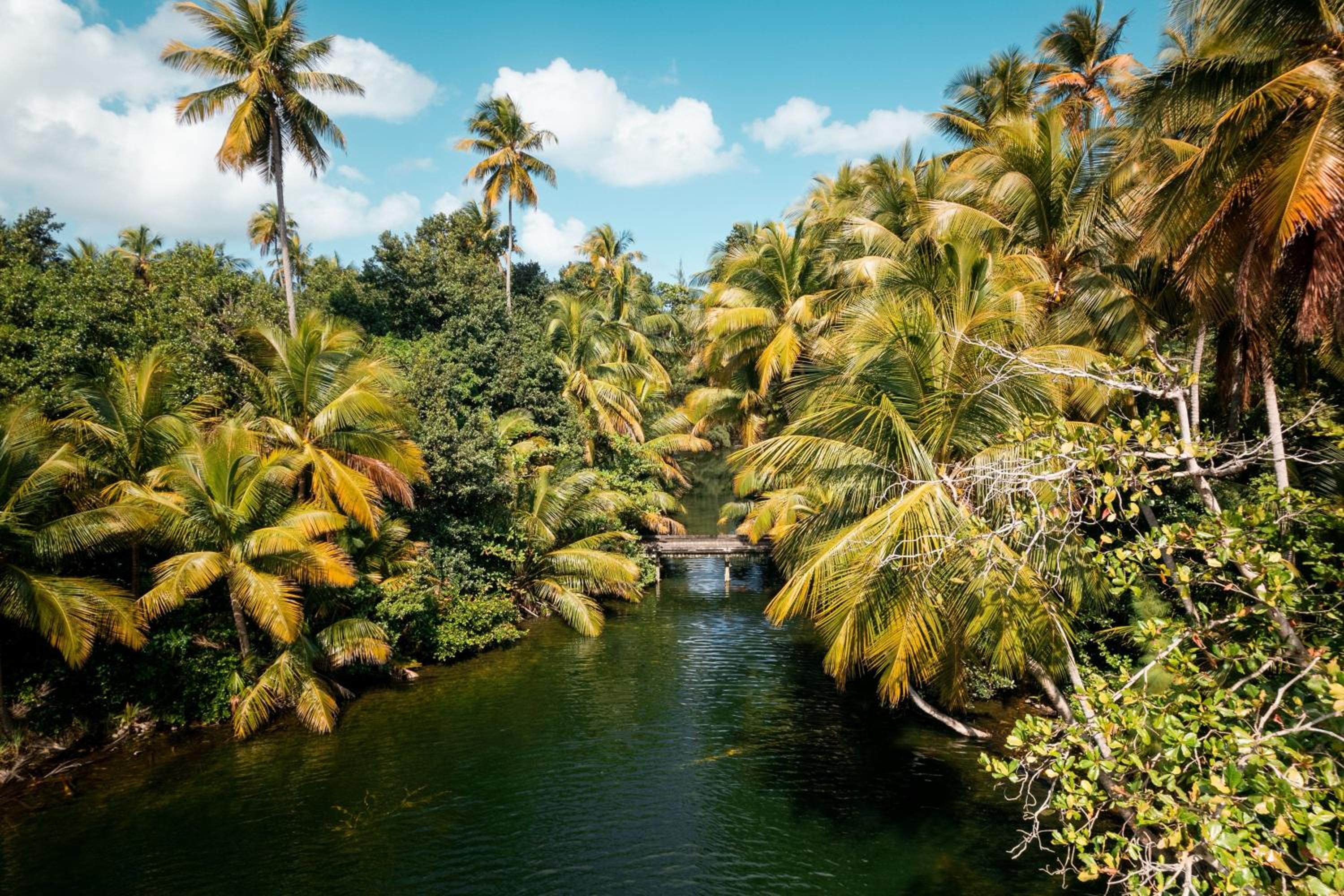 St. Regis Bahia Beach Resort, Puerto Rico - Photo 106