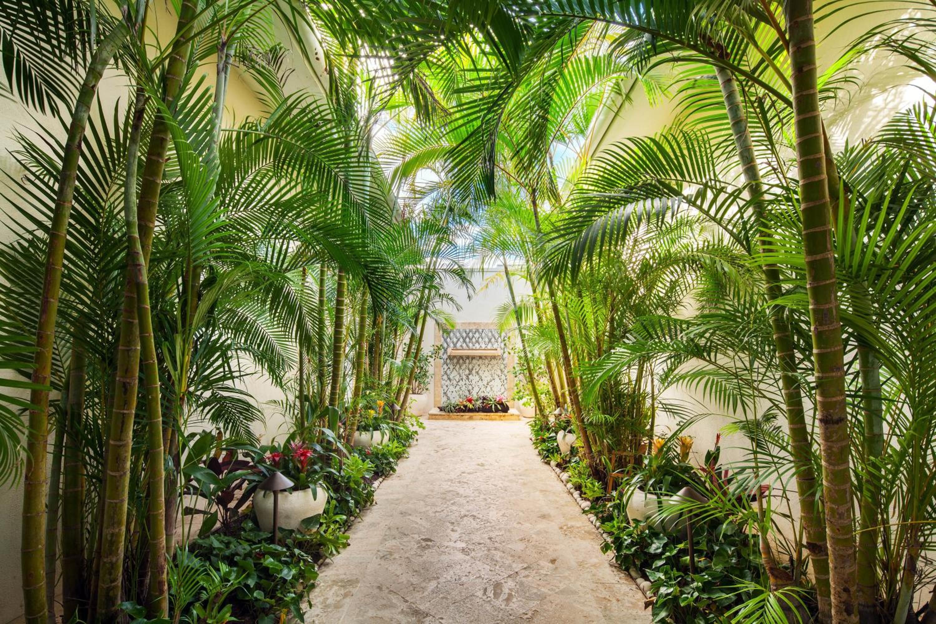 St. Regis Bahia Beach Resort, Puerto Rico - Photo 169