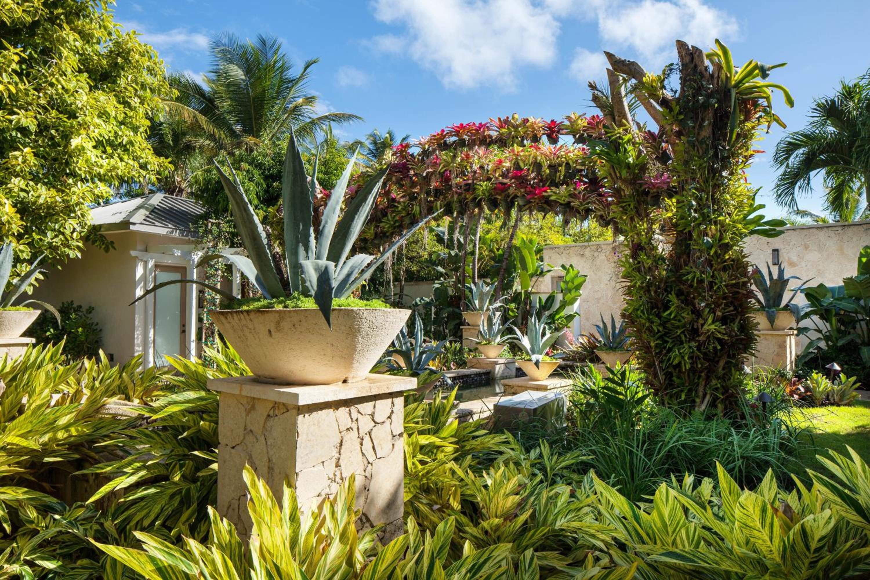 St. Regis Bahia Beach Resort, Puerto Rico - Photo 170