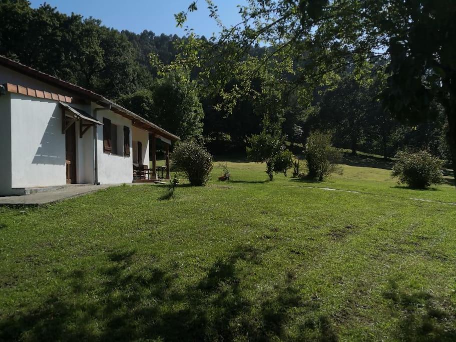 La Rotiza