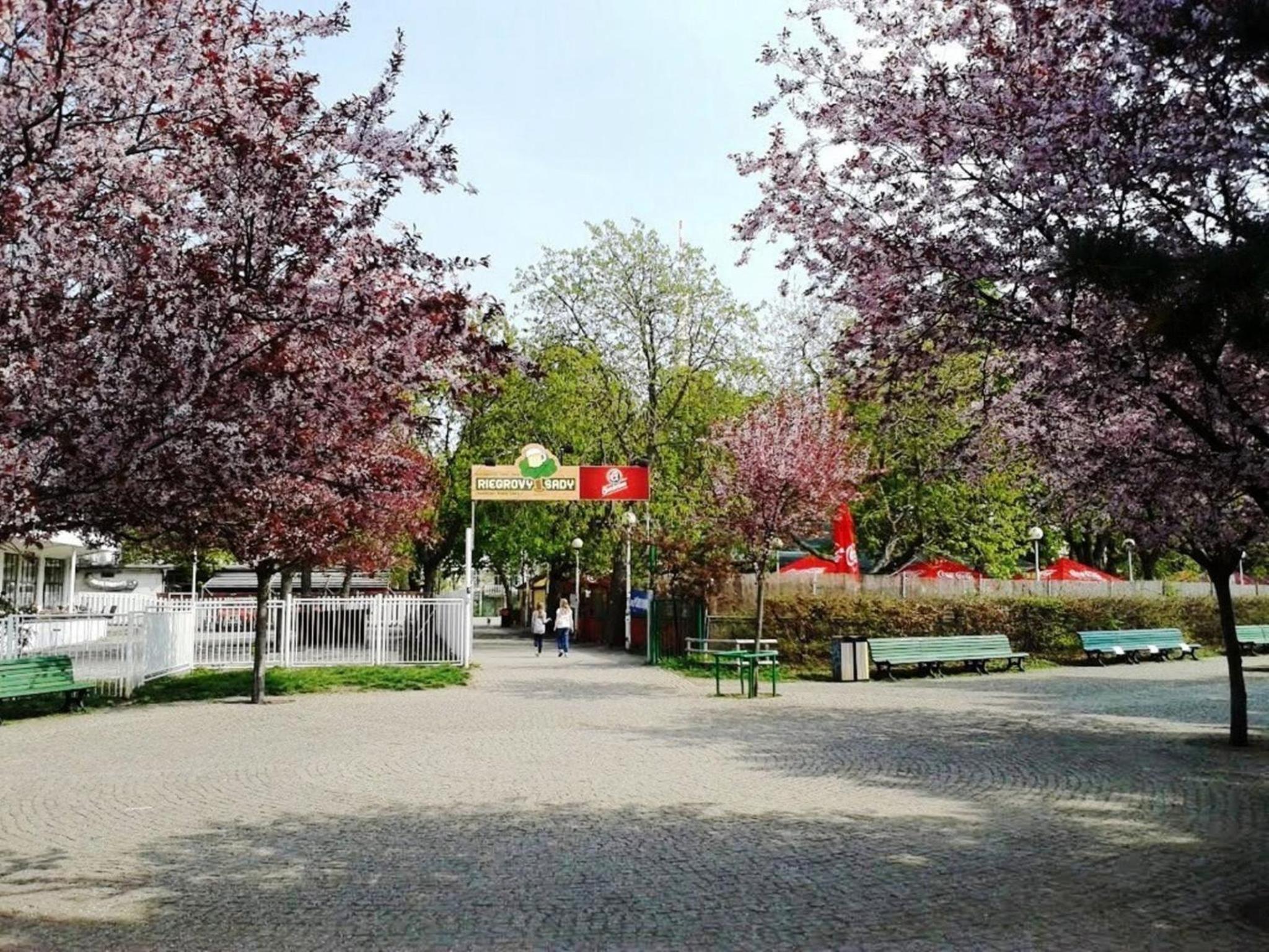 Modern Apartment Riegrovy sady