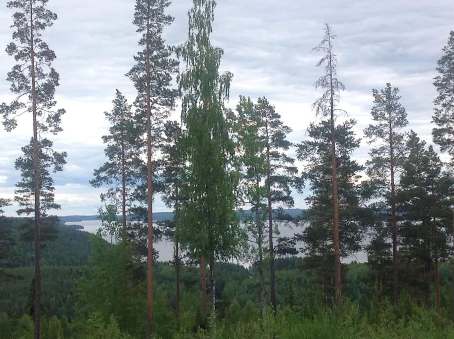 MUURAME RIIHIVUORI PARITALOHUONEISTO SKI