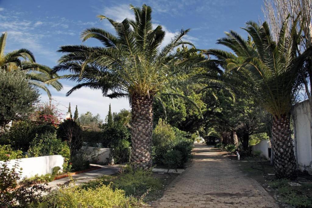 Photo 34