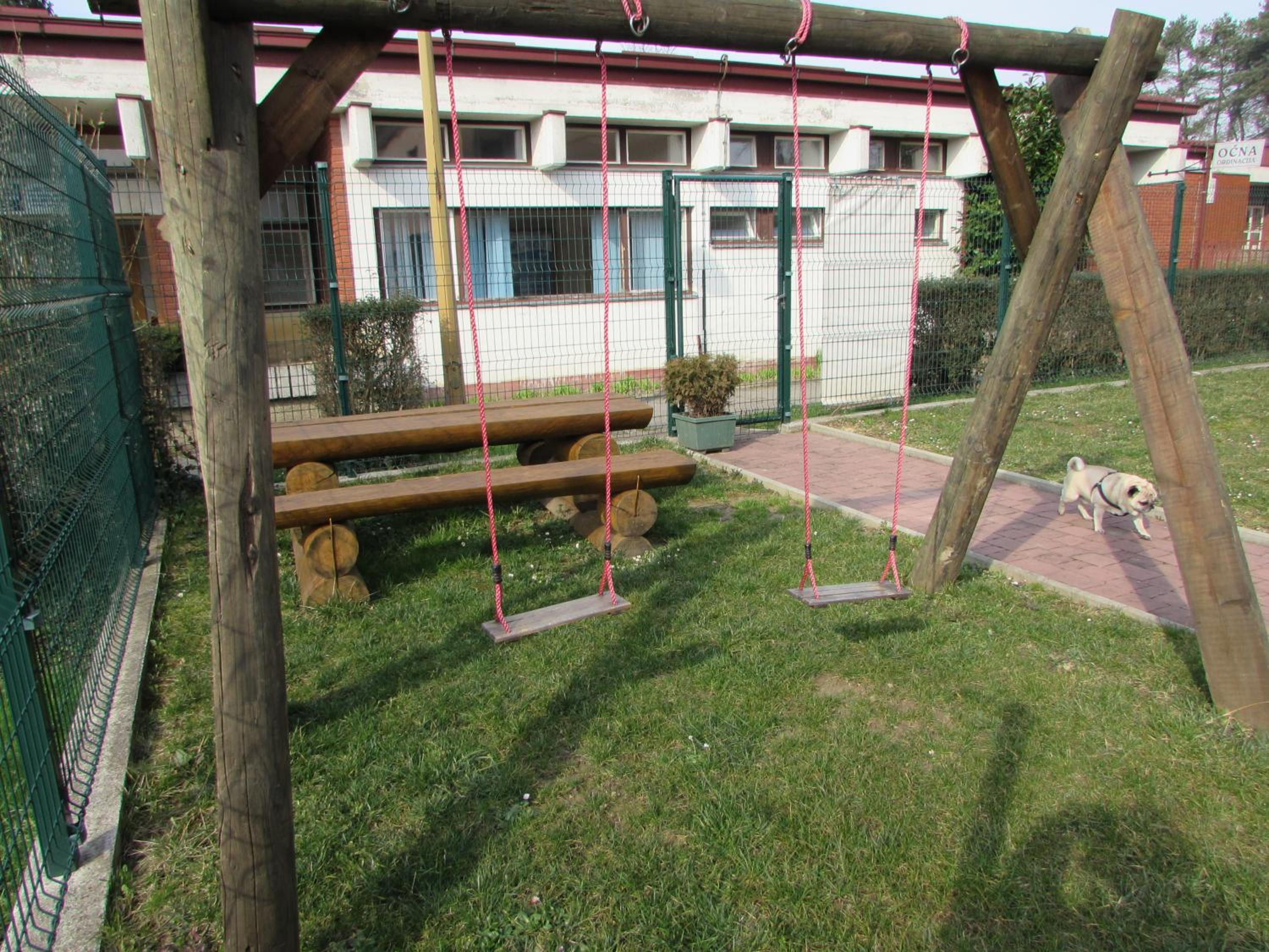 Photo 12