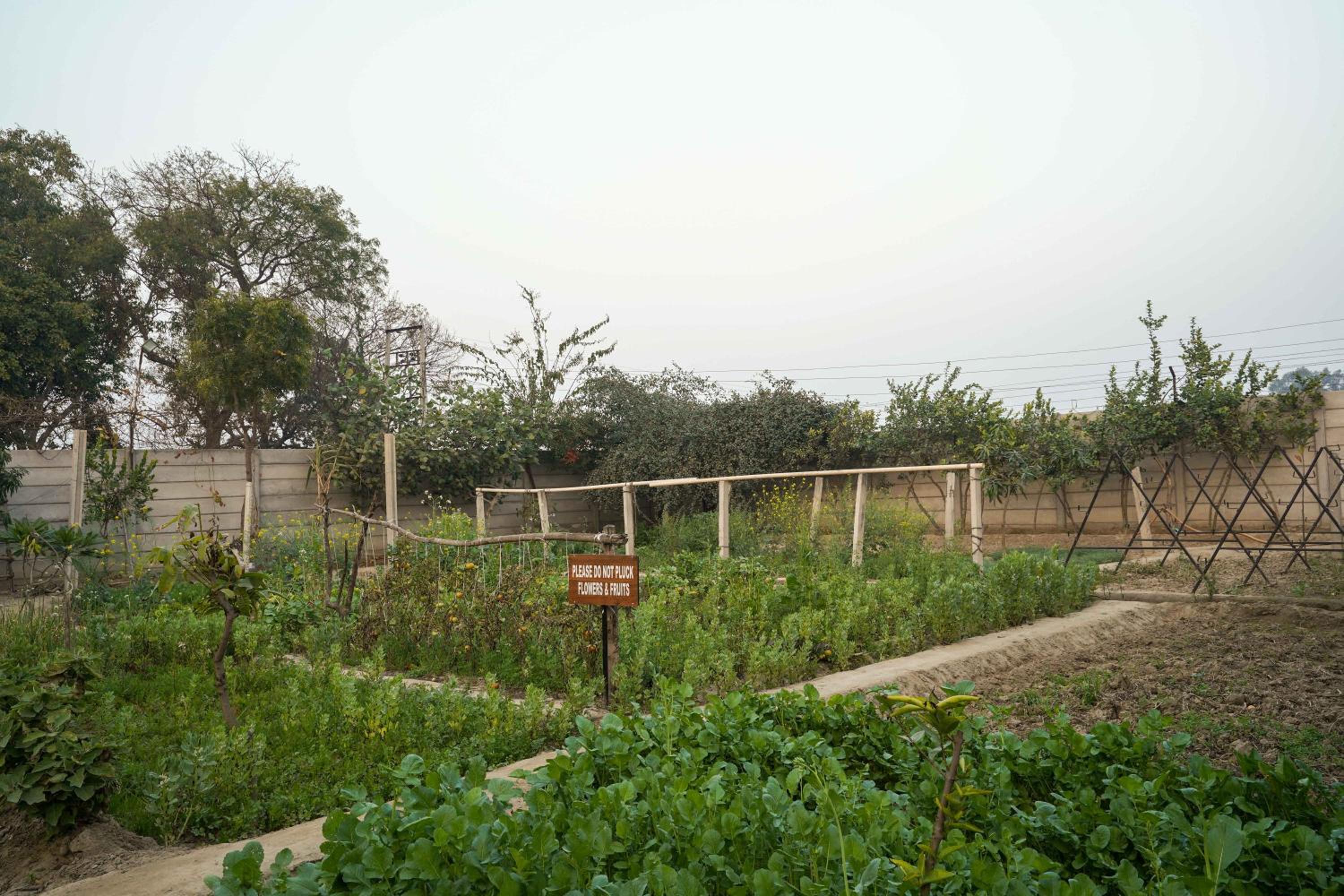 Photo 37