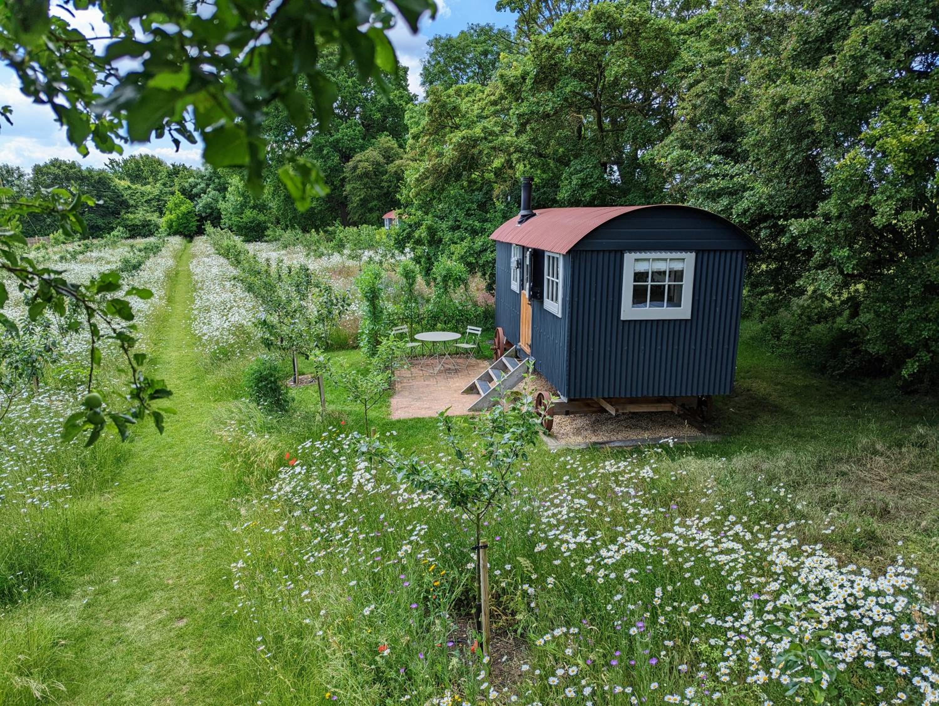 Photo 12