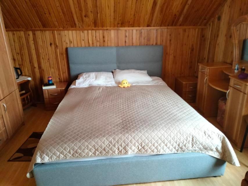 Villa Carpathian Aura view 3