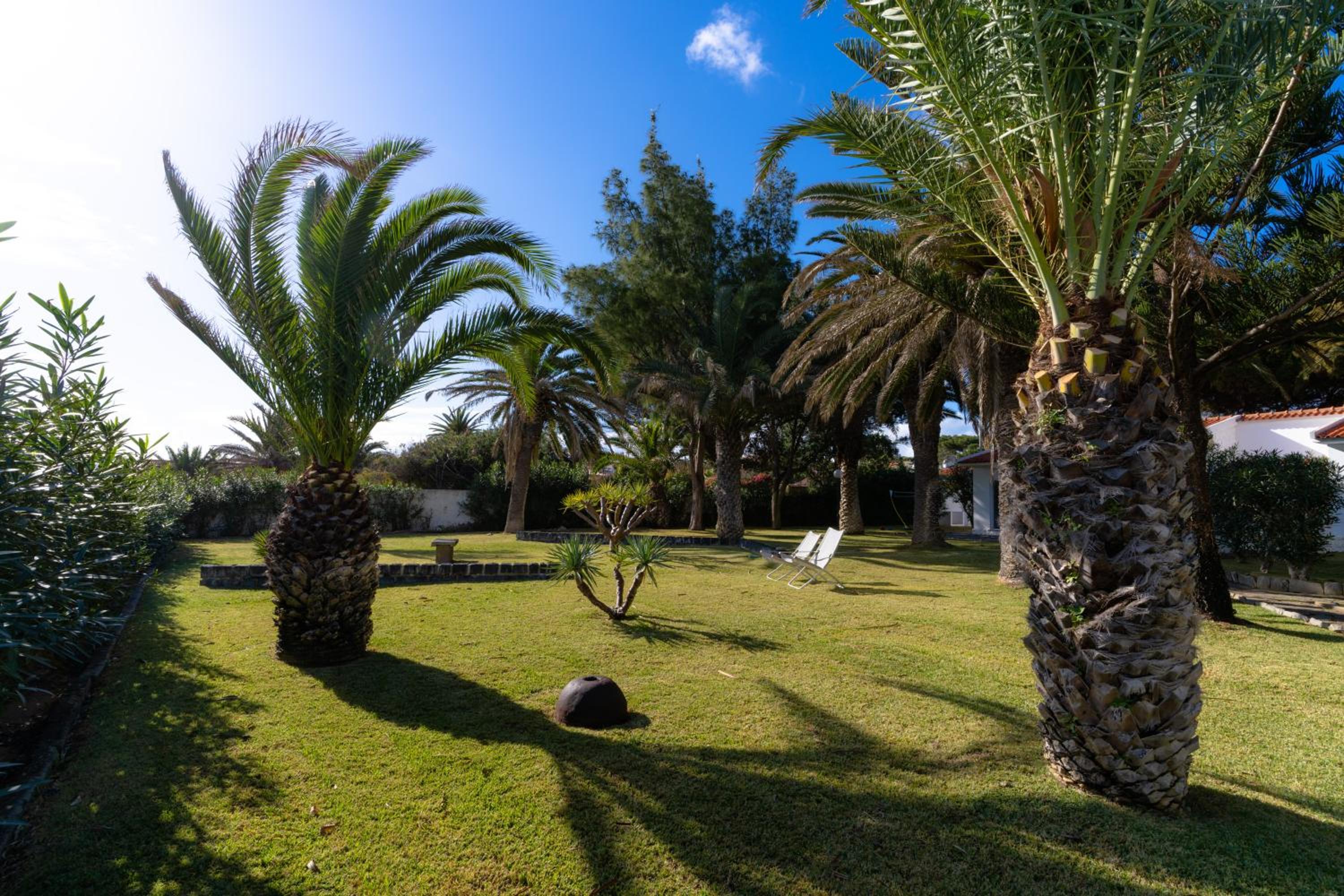 Porto Santo Vacations - Dune Beach CoLiving - Property Image 11