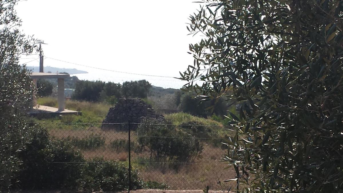 Villa Minteco