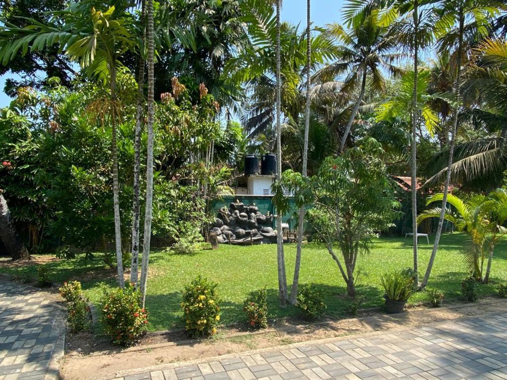 garden