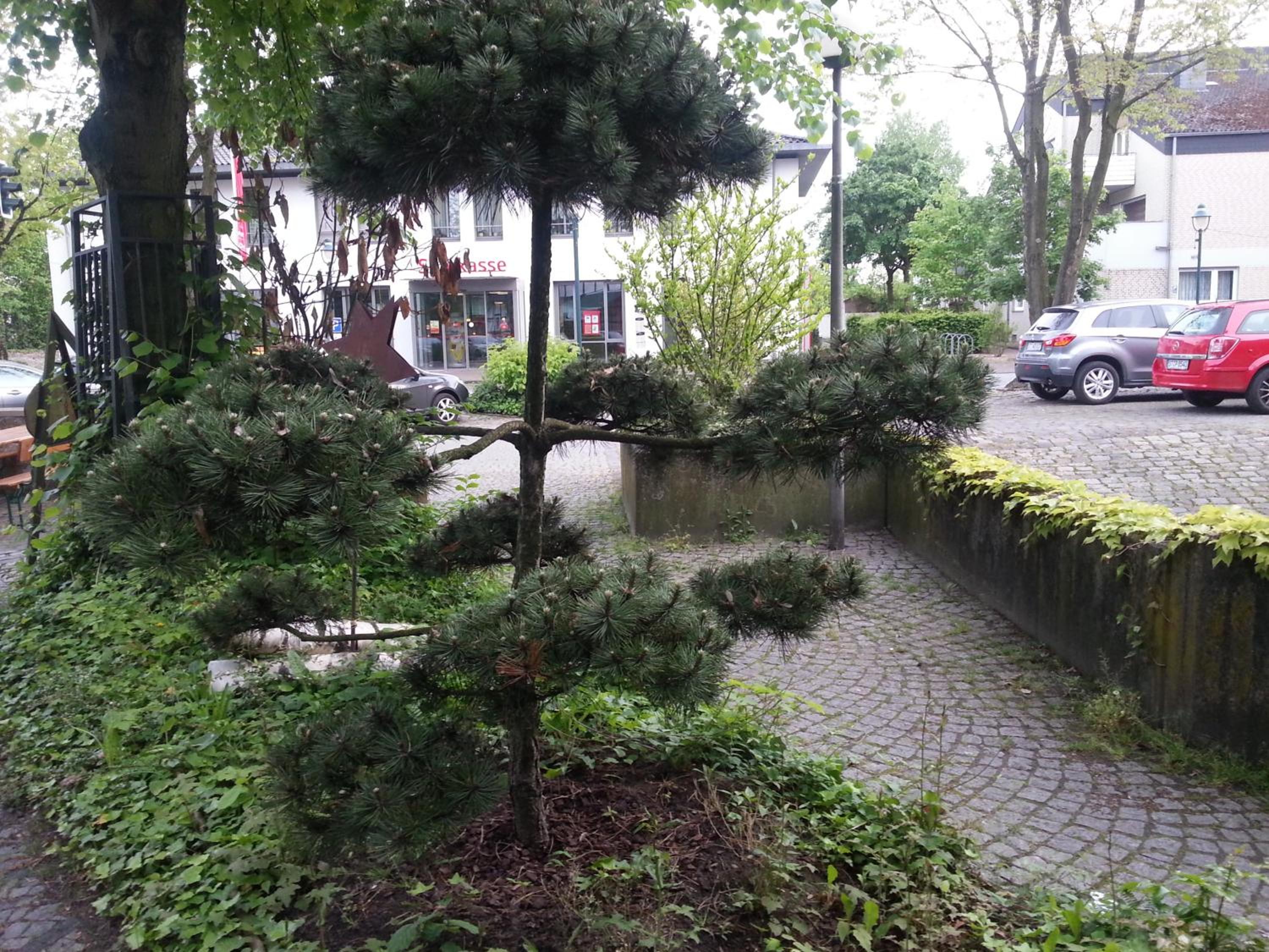 Photo 26