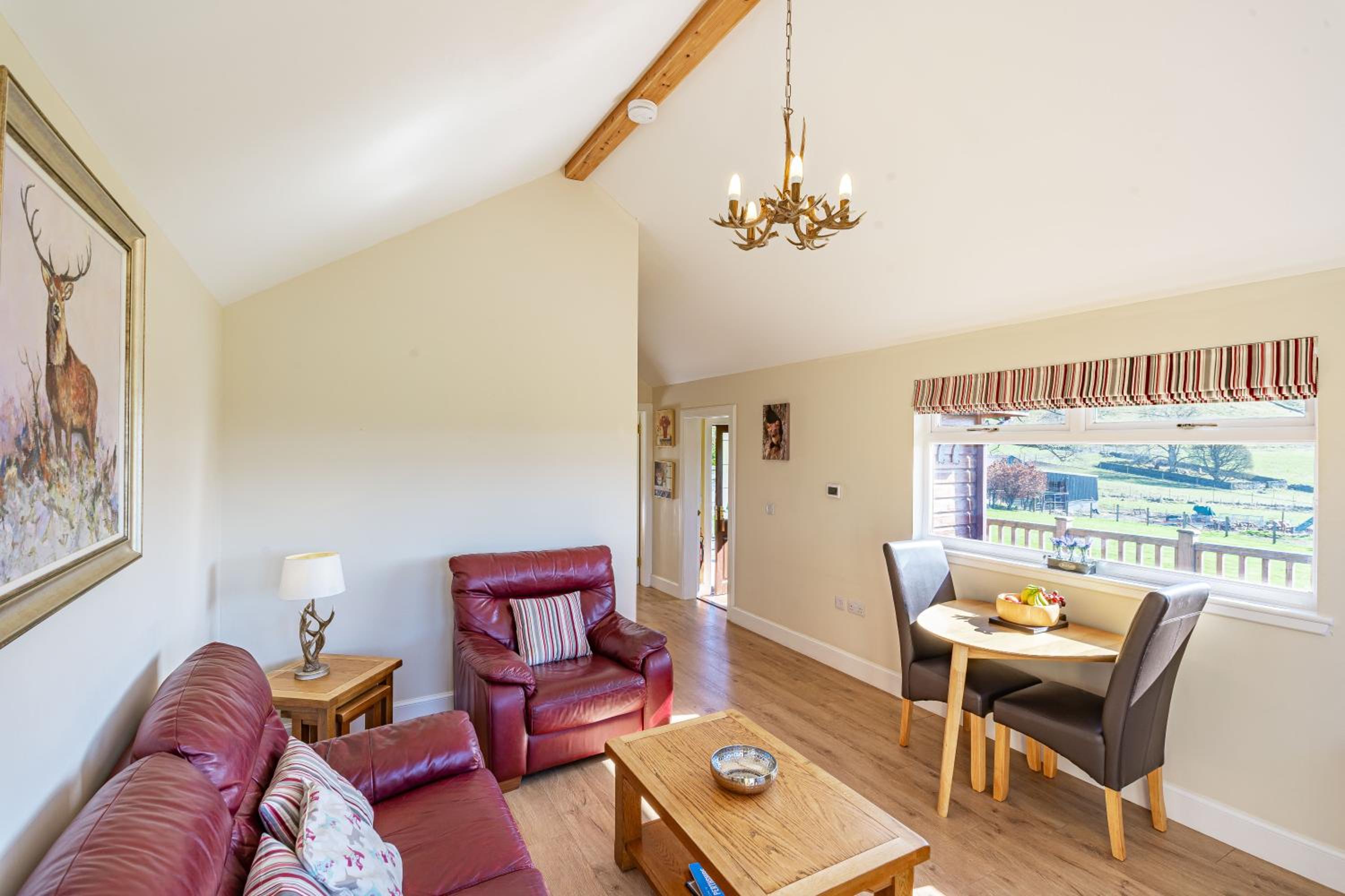 Pine Marten Lodge with Hot Tub view 2