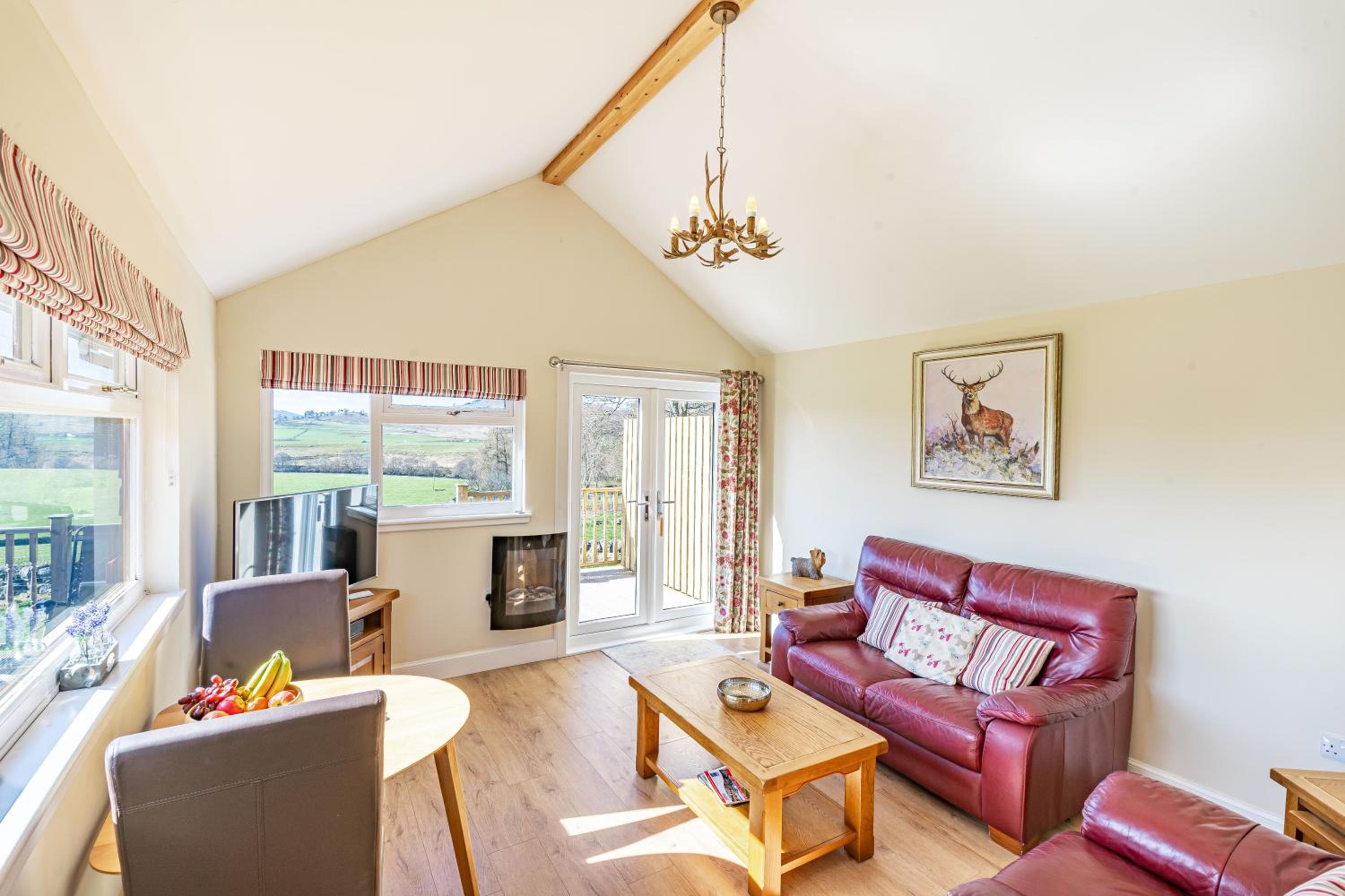 Pine Marten Lodge with Hot Tub view 3