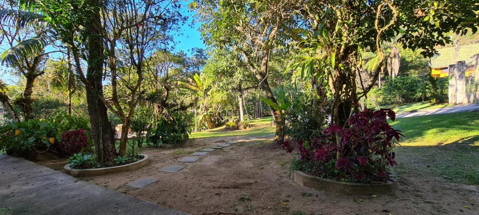 Photo 45