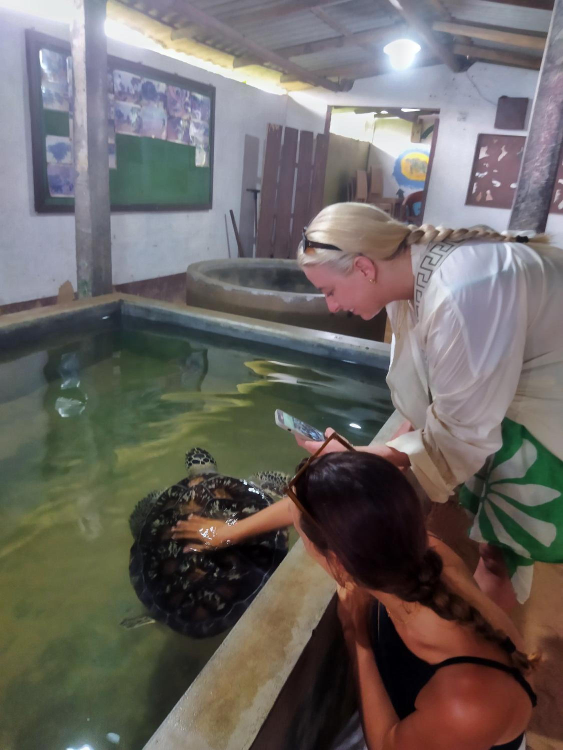 Photo 68