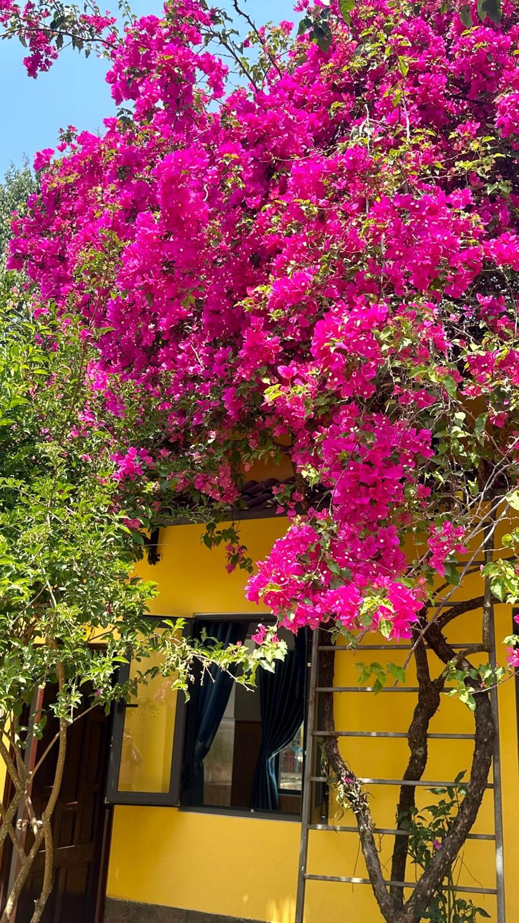 Bao Dien Hotel Garden view 2