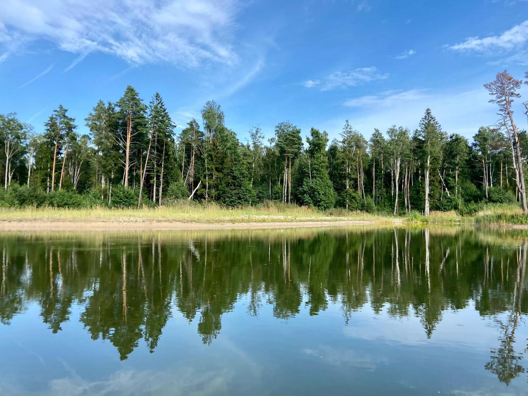 Metsaräägu Wellness