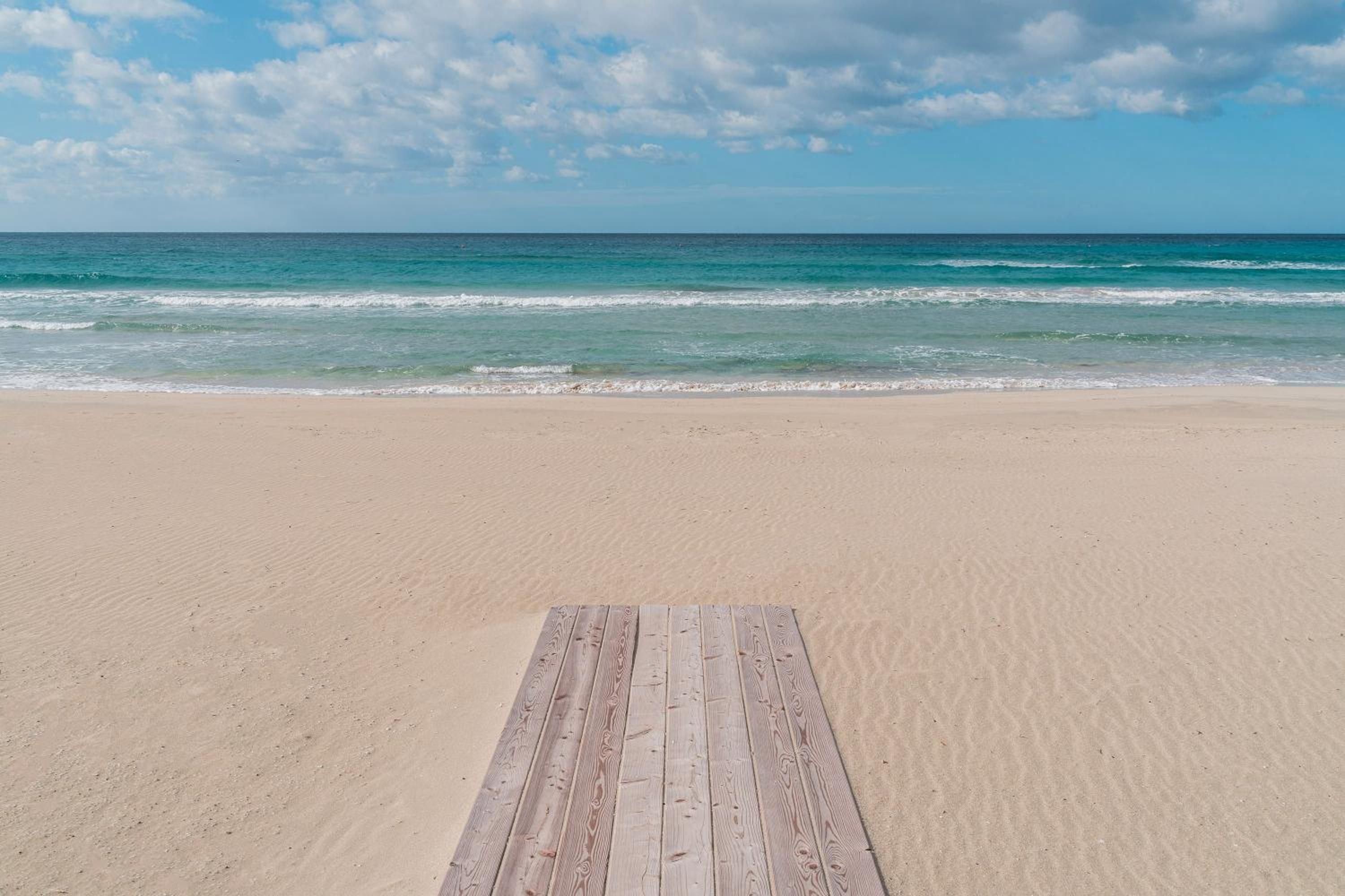 Suite Buena Vista photo 5