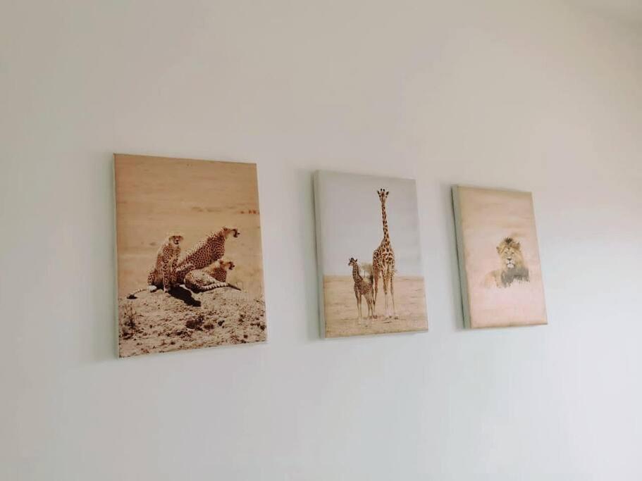 Photo 46