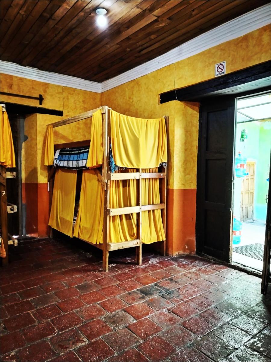 Iguana Hostel view 2