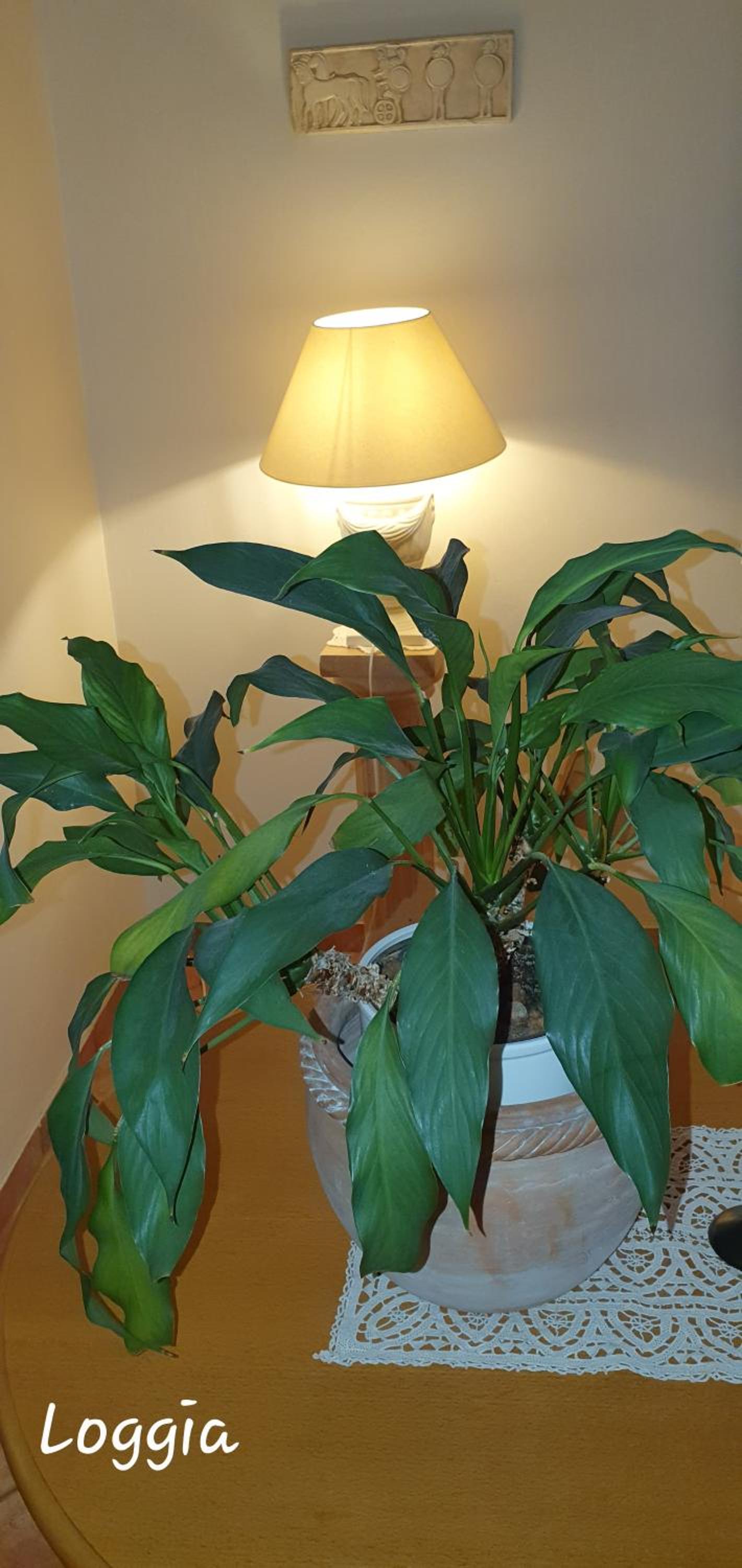 Wohnung in Zentrumsnähe beim Hauptbahnhof (100 m2)