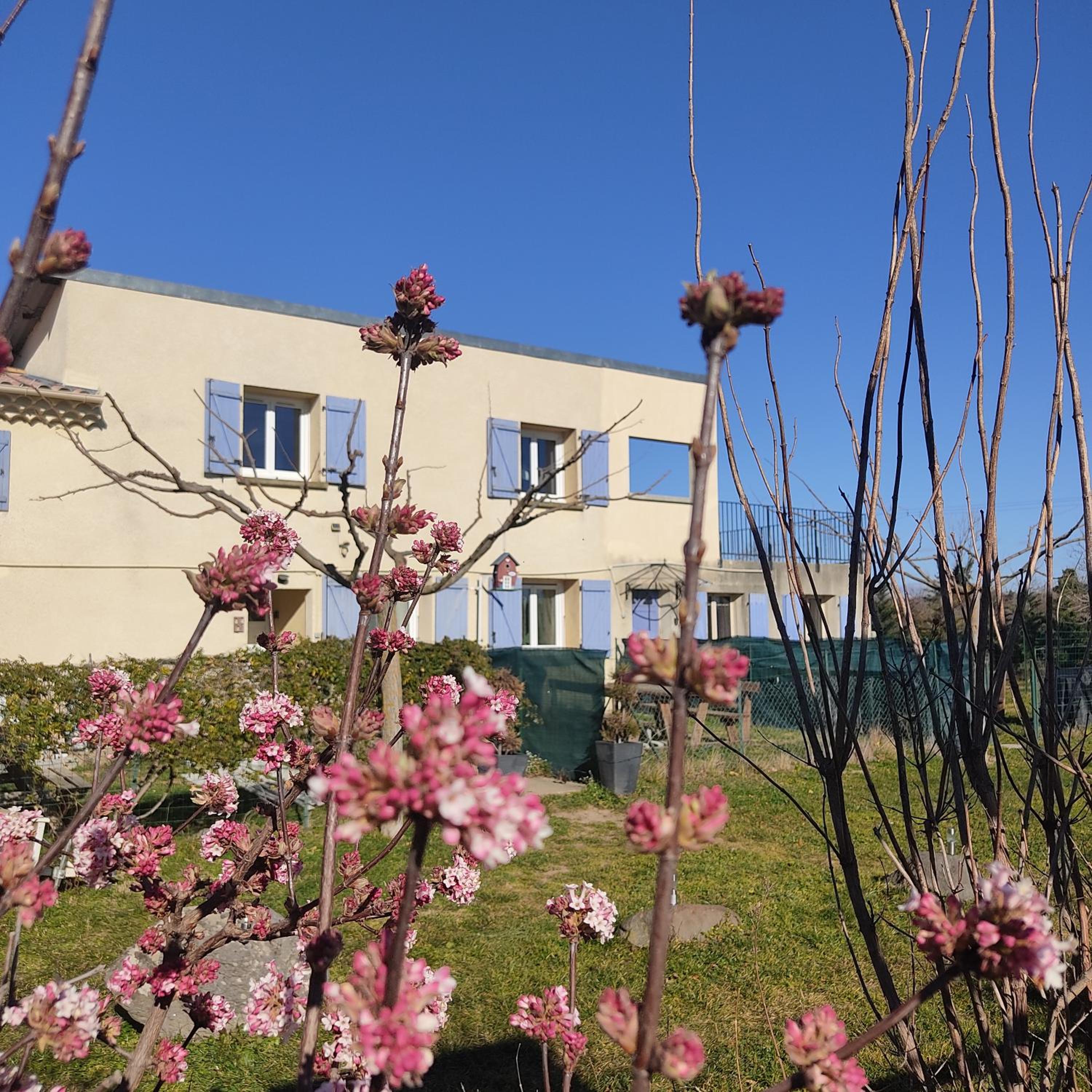 Maison Tifaloc, photo 22