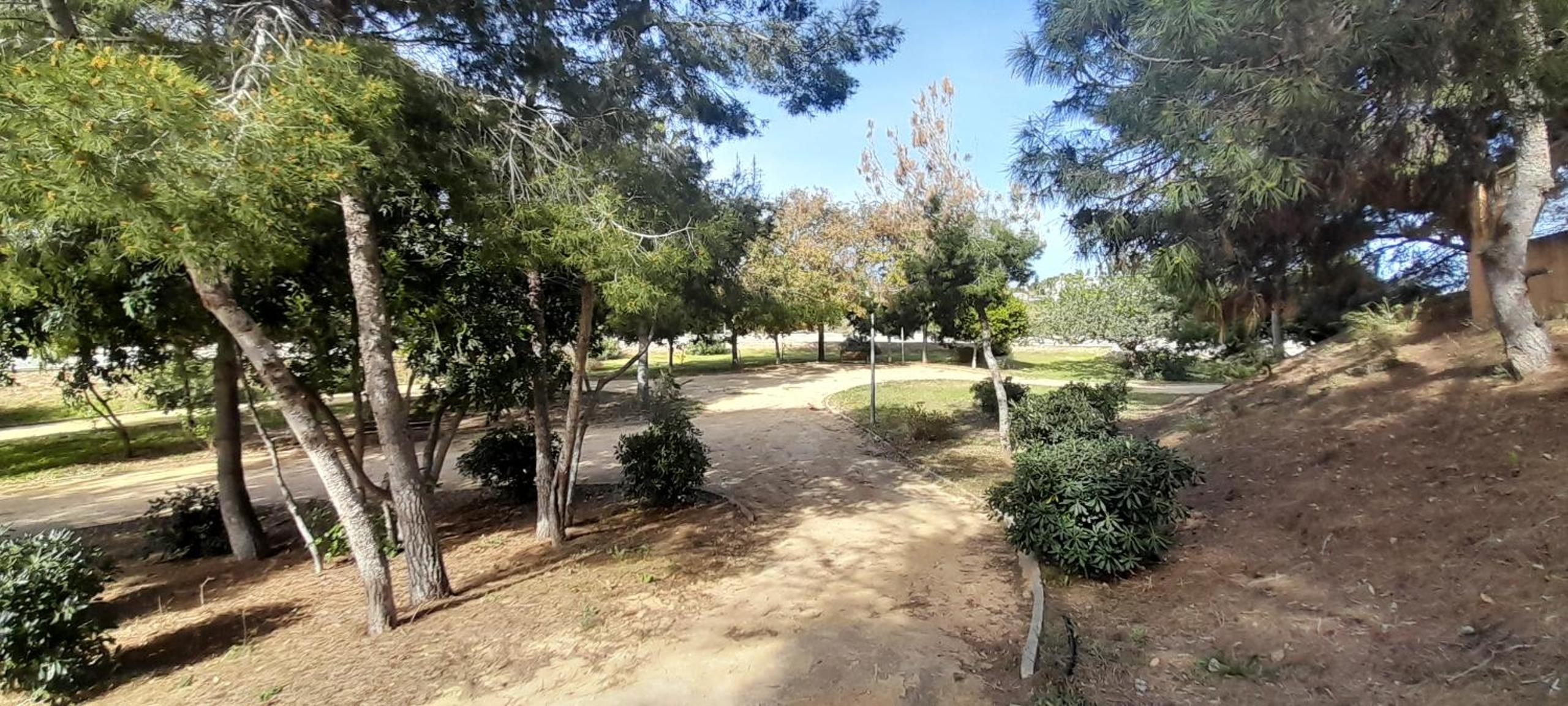 Photo 17