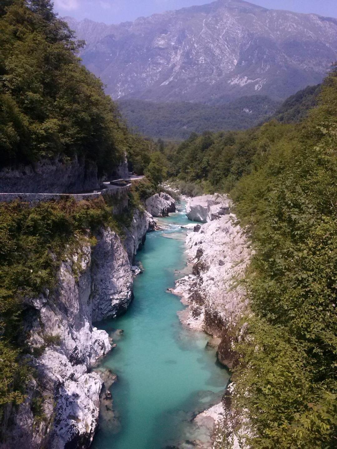 Photo 43