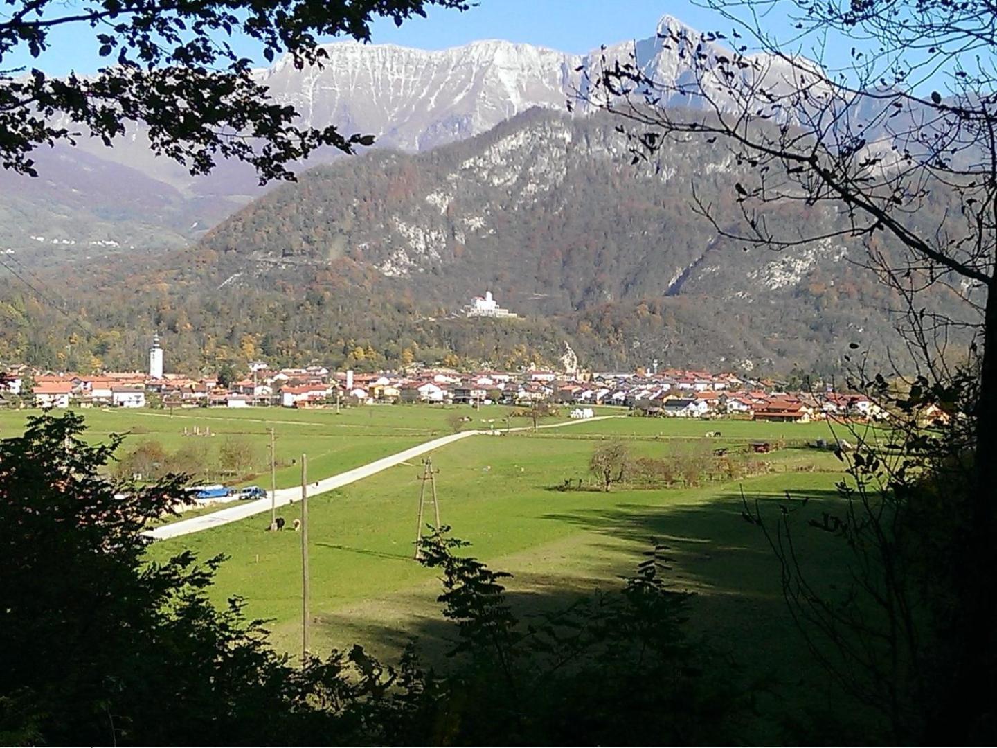 Photo 42