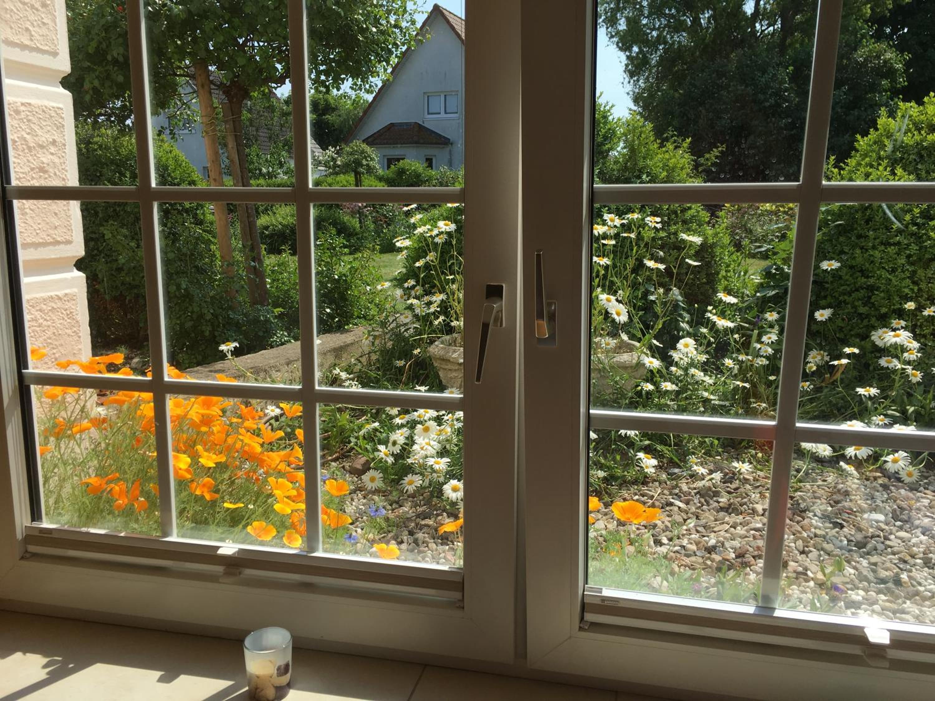 Villa Rosengarten auf der Sonneninsel Fehmarn