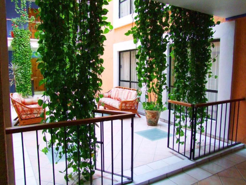 Hotel Oaxaca Dorado - Property Image 8
