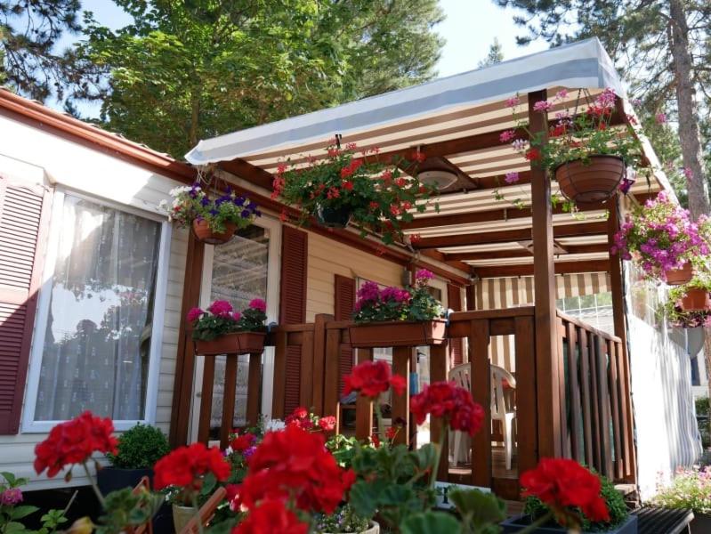 Camping Officiel Siblu Le Bois Masson