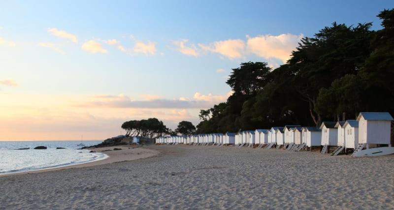 Camping Officiel Siblu Le Bois Masson