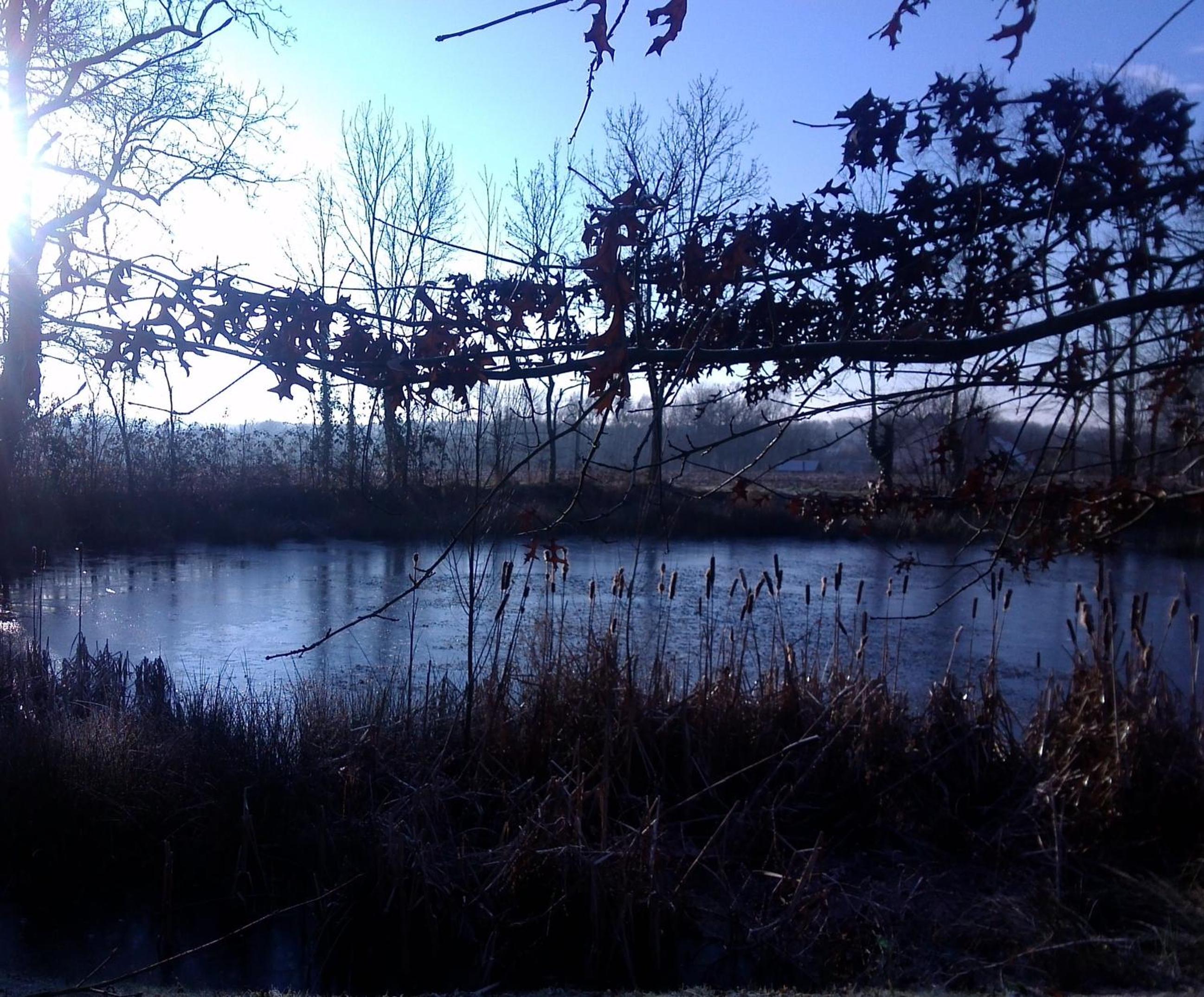 Photo 22