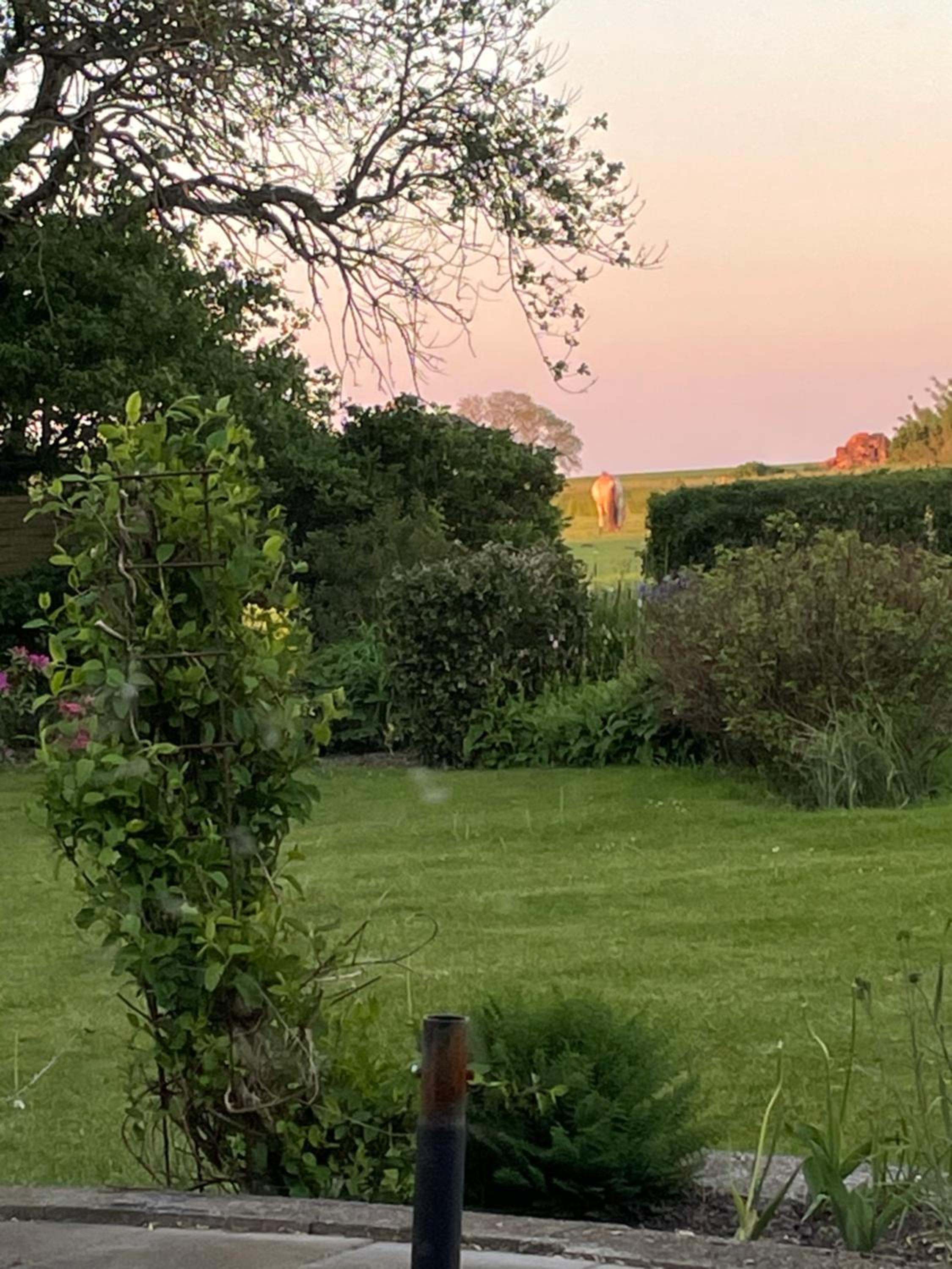 Photo 19