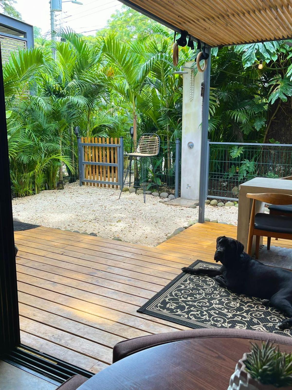 Studio Aloha - Malpais