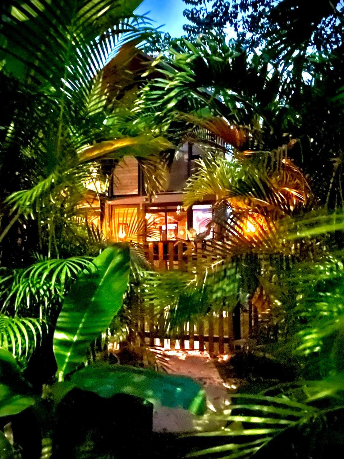 Studio Aloha - Malpais